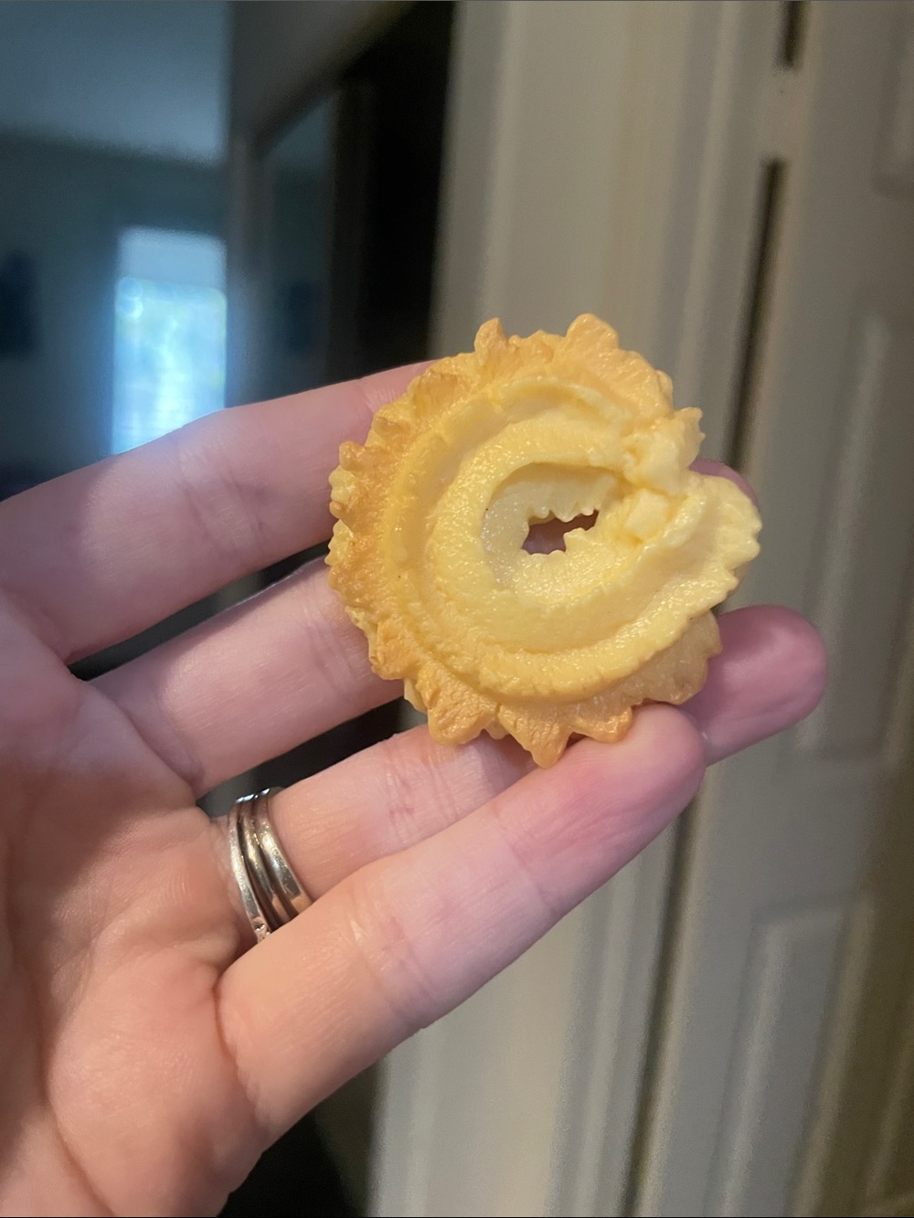 Rainbow Cookie Brooch